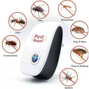 WhatsApp Image 2025-12-22 at 5.12.06 AM